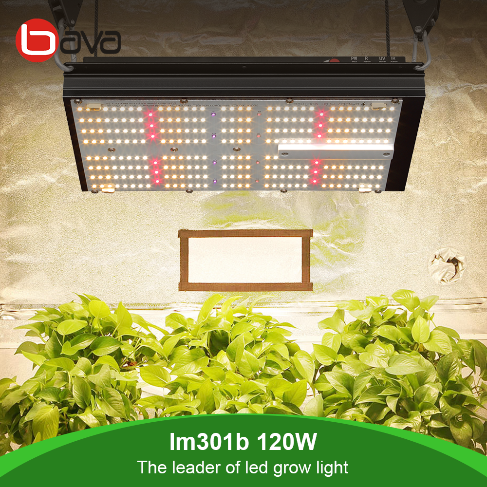 Bavagreen 120w samsung lm301b mix oslon SSL red ir seoul uv dimmable 2020 led grow lights bar lm301h uv ir plant light