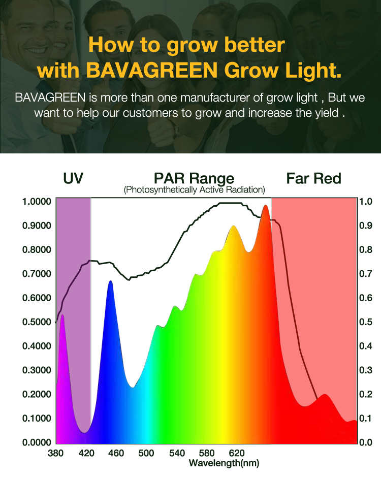 Bavagreen 120w samsung lm301b mix oslon SSL red ir seoul uv dimmable 2020 led grow lights bar lm301h uv ir plant light