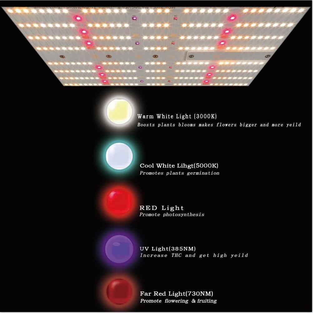 Dropshiping BAVA reflector 240w board lm301h led grow light veging flowers full spectrum uv ir hydroponic grow light