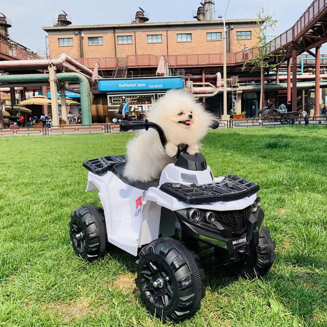 New Kids ride on quad,Battery Powered children ride on car beach ride on car