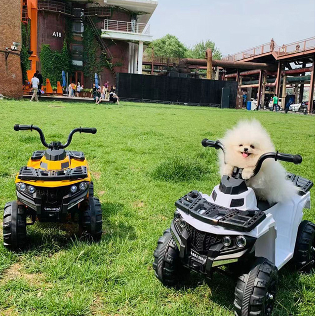 New Kids ride on quad,Battery Powered children ride on car beach ride on car