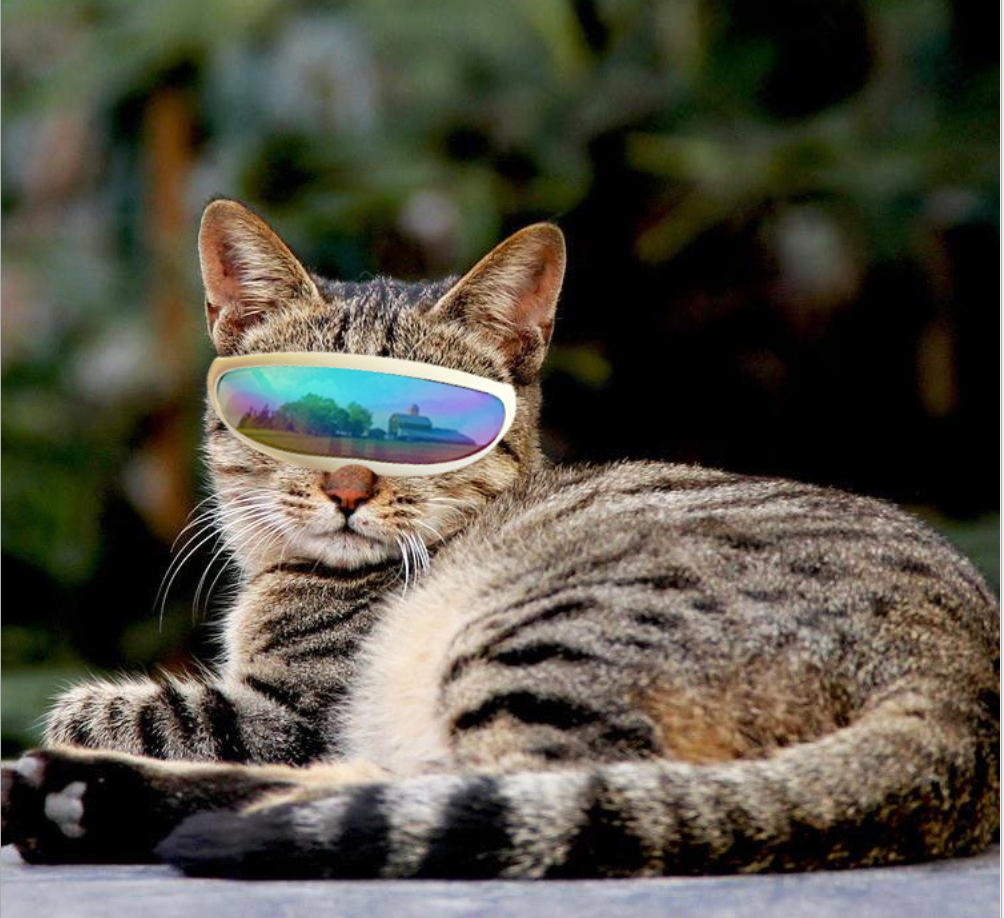 Pet Accessories  for Cat and Dog Prevent Wind and UV Protection Dog Sunglasses