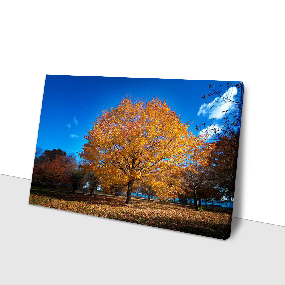 Canvas Print Custom Golden Maple Natural Scenery Picture Framed Canvas Artworks Wall Painting