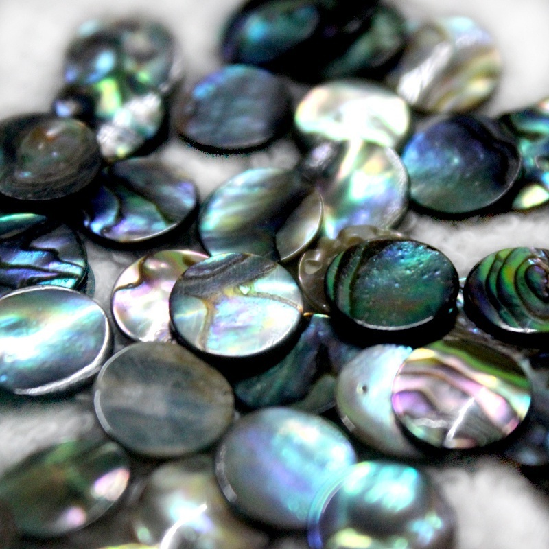 Abalone discs abalone slices wholesale gemstone discs gemstone slices