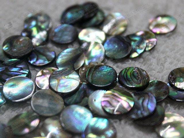 Abalone discs abalone slices wholesale gemstone discs gemstone slices