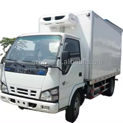 High Performance ISUZUs 4K 600P Refrigerated Van Truck With Brand New CARRIER Cooling System And Cargo Van