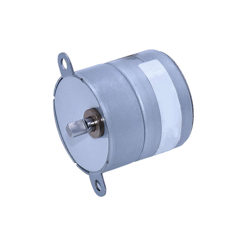 BM Micro AC Synchronous motor 49TYJ AC motor kits series low speed high torque wholesale