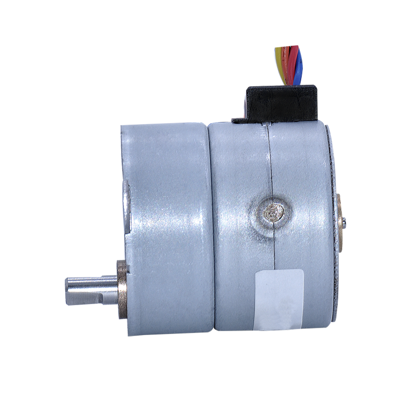 BM Micro AC Synchronous motor 49TYJ AC motor kits series low speed high torque wholesale