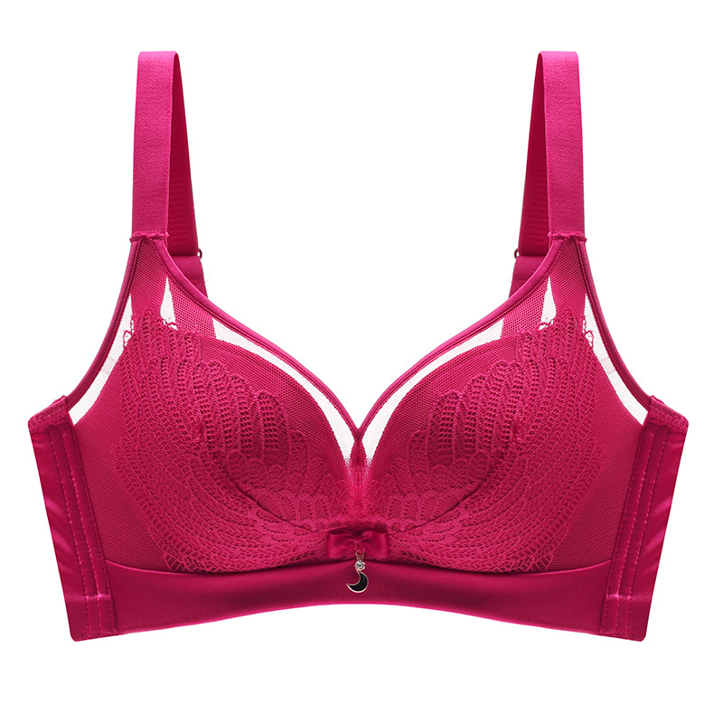 The popular Swan Dream lace bra gathers the thick and thin cup adjustment brassiere for ladies