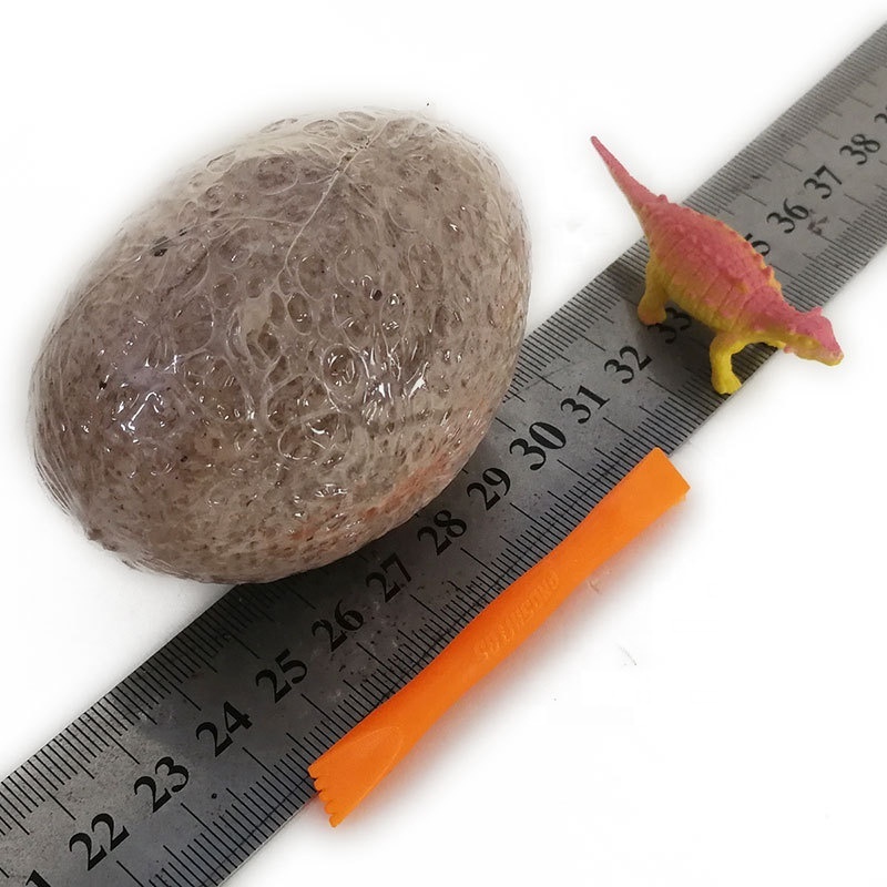 DIY Excavation Tools Plastic Dig Discovery Resin Figure Anime Kids Science Kits Dino Dinosaur Egg Fossil Toy