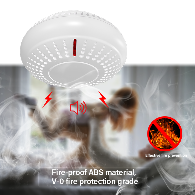 Independent Smoke Detector Smoke House Combination Fire Sensor Home Security System Smoke Alarm Fire Protection