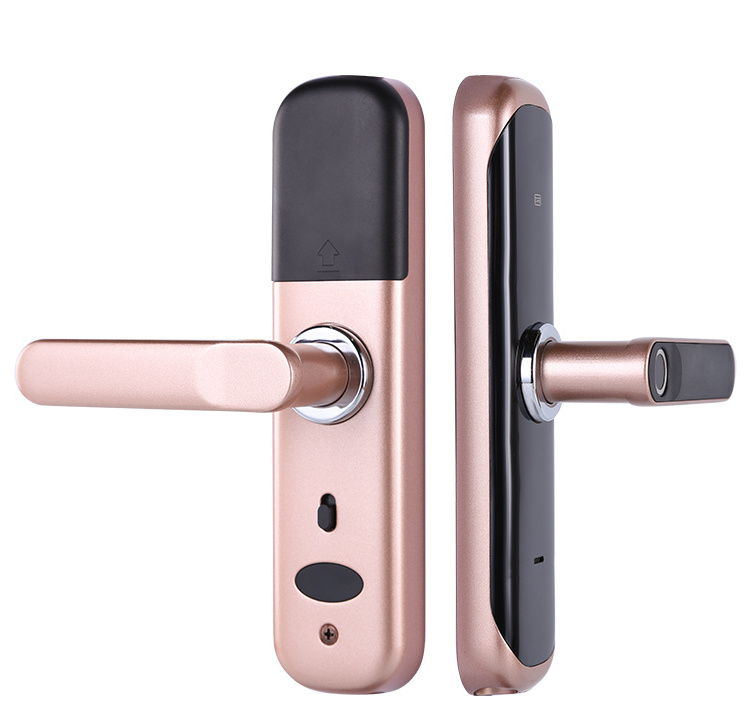 2021 Latest Version Smart Tuya APP Security Wifi Fingerprint Door Lock Home Outdoor Gate Biometric Smart Fingerprint Door Lock