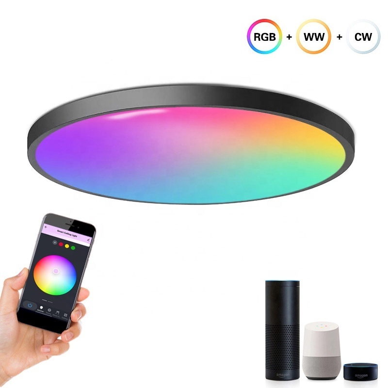 White Finish Led Smart Light 24W  LED Modern Light RGB Bedroom ceiling lamp Round Flush Mount Light