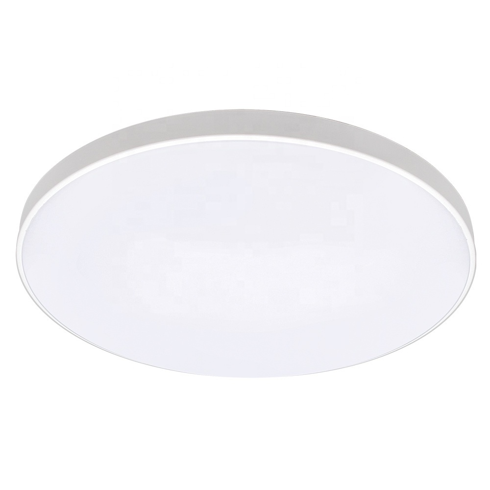 Fashion Simple 24w 100-265v Flush Mount Fixture 3000-6500k Adjustable RGB  Led Ceiling Light Lamp with Voice APP Wifi Control