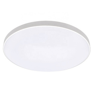 Fashion Simple 24w 100-265v Flush Mount Fixture 3000-6500k Adjustable RGB  Led Ceiling Light Lamp with Voice APP Wifi Control