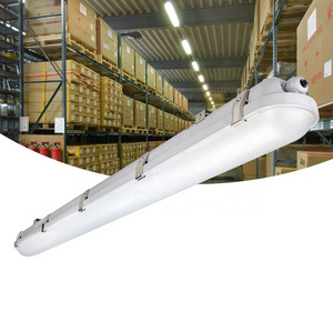 CE SAA High Lumen Tube Batten Lamp IP66 Waterproof Light 5000K  CCT Wattage Switchable LED Tri-proof light