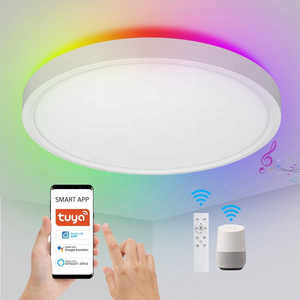 24W WIFI Tuya Voice Remote Control Round RGB Smart LED Ceiling Light Decoration Led Surface Ceiling Light