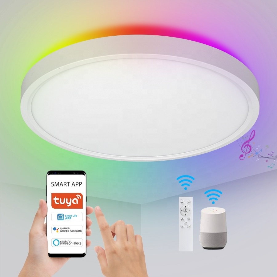 Warehouse 24W Smart Ceiling Light Flush Mount LED WiFi Light with Remote and Compatible with Alexa Google Home