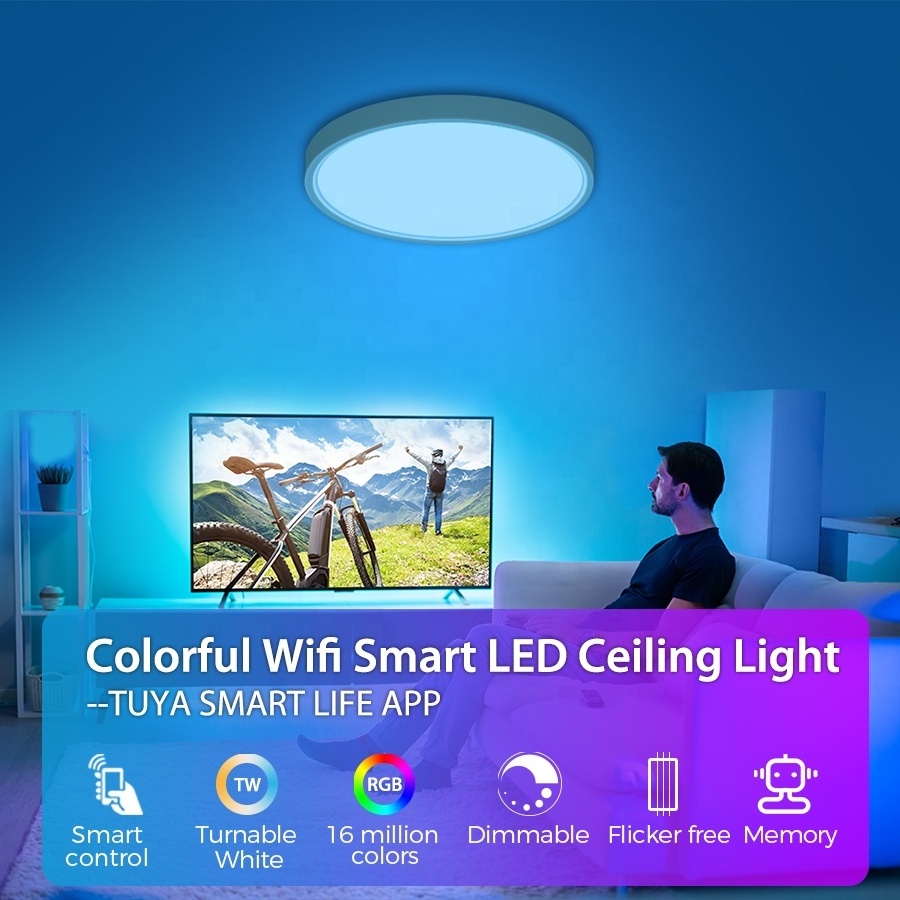 300mm LED Smart Ceiling Light  24W Back Light RGB Compatible with TUYA App Flush Mount Ceiling Fixture