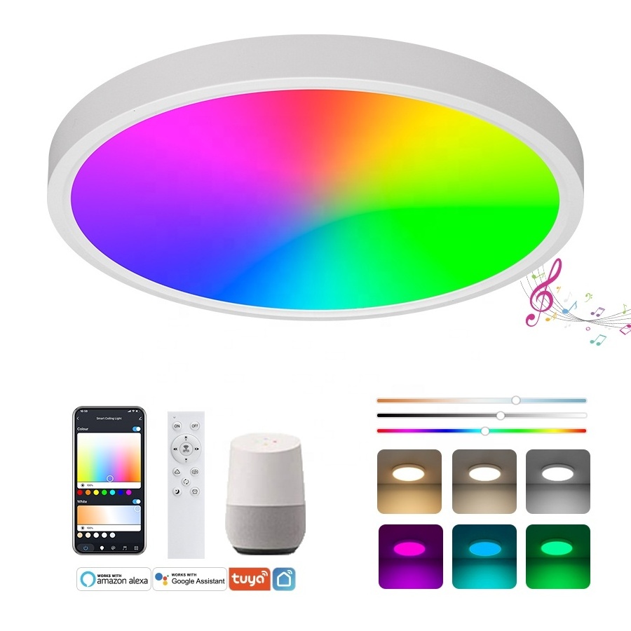 300mm LED Smart Ceiling Light  24W Back Light RGB Compatible with TUYA App Flush Mount Ceiling Fixture