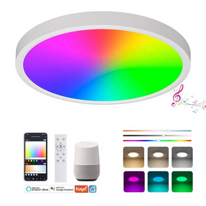 Smart Ceiling Light 12inch 24W 6000K CCT RGB Color Dimming Easy to Stock for Home Bedroom LED Light Ceiling