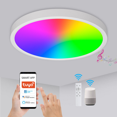 Bedroom Living Room Round shape Tuya Wifi 24w RGB Colors Smart Lamp Led Ceiling Lights