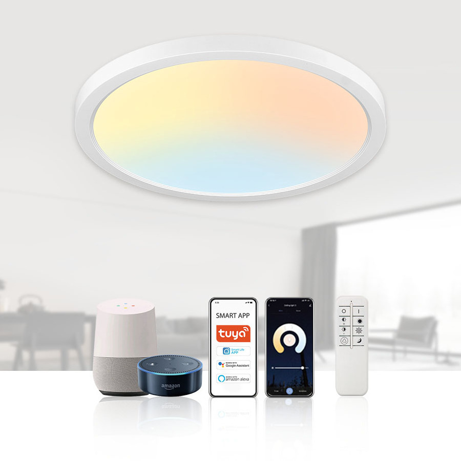 Smart LED Flush Mount Ceiling Light Fixture for Bathroom Porch Kitchen Bedroom Living Room Hallway