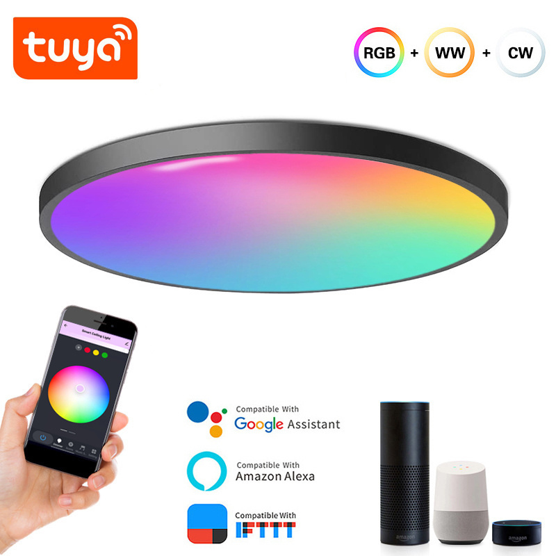 Voice WIFI APP Control Homekit Smart LED Ceiling Light 24W 320mm Color RGB Changing Indoor Home Lighting LED Flush Mount Light