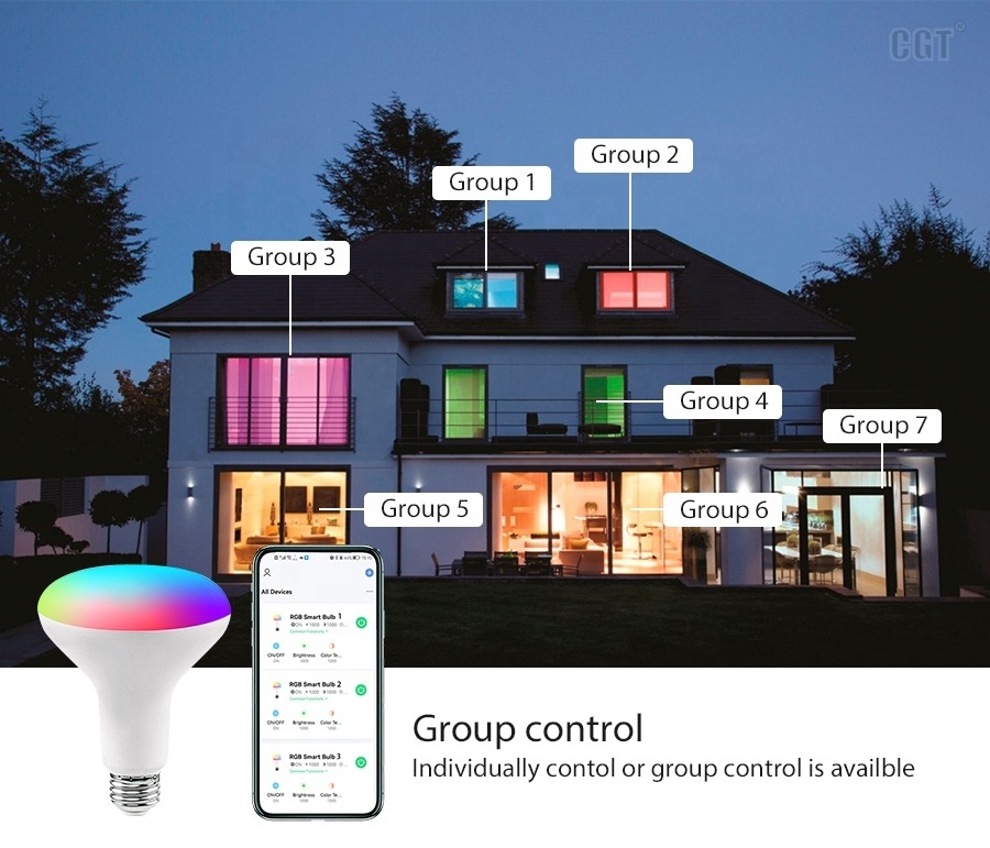 Warm White Cold White E26 E27 BR30 Indoor Light Bulb Voice Control LED Smart RGB Blub