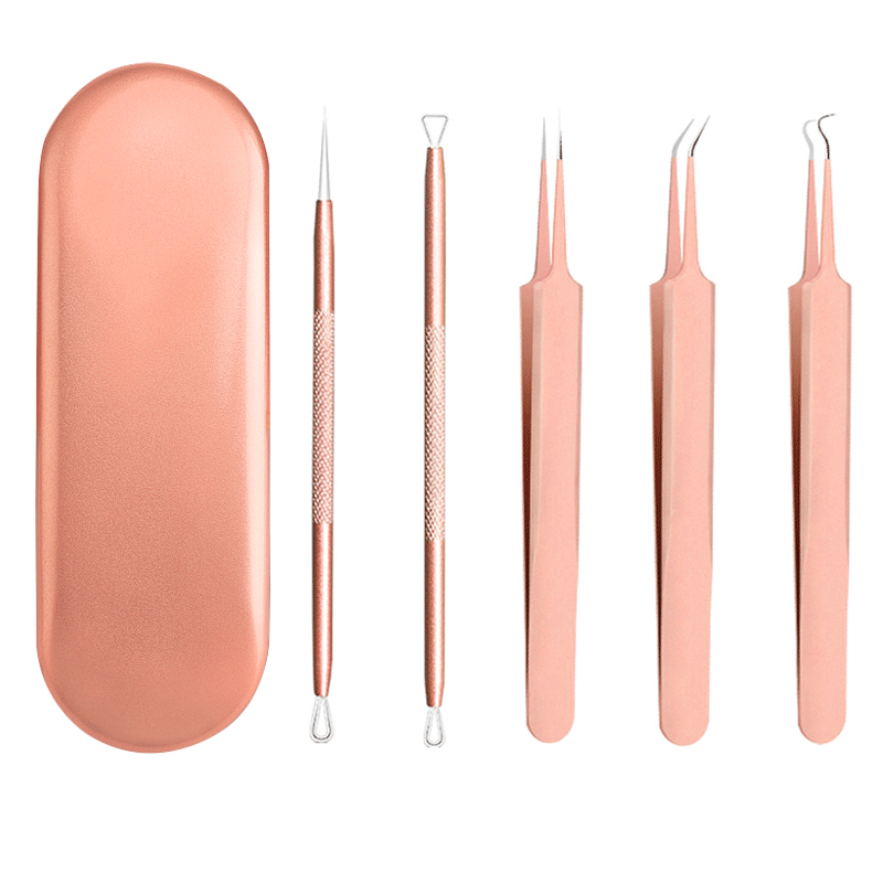 1 Portable Professional 5pcs/pack Blackhead Remover Extractor Tool Kit with Metal Case