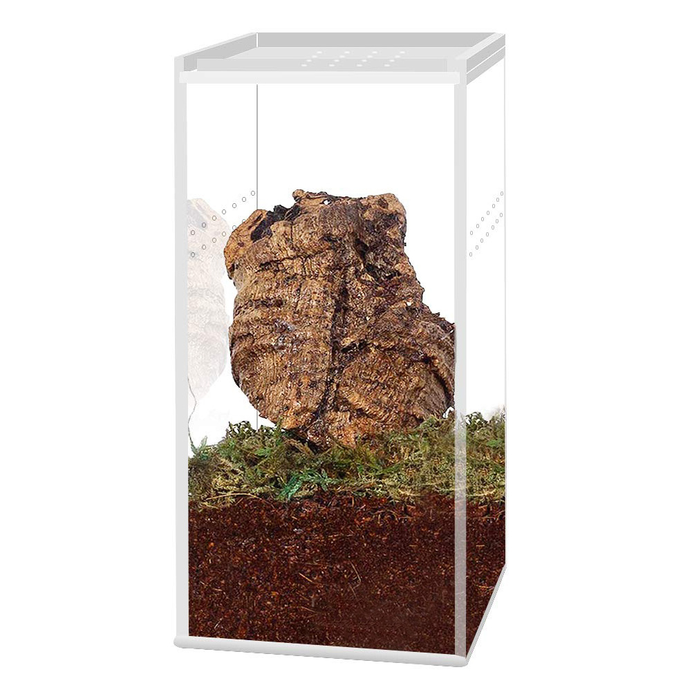 Acrylic Reptile Terrarium Magnetic Full View Acrylic Reptile Tank Breeding Box Enclosure Reptile Feeding Case