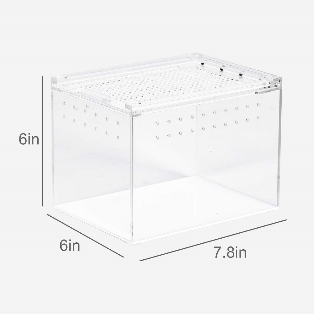 Wholesale Suppliers Custom Clear Vision Pet Reptile Tarantula Cage Terrarium Acrylic Reptile Display Cases