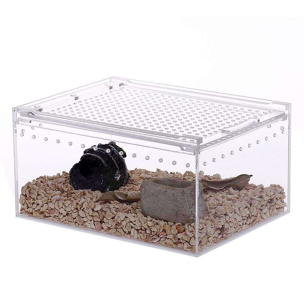 Wholesale Suppliers Custom Clear Vision Pet Reptile Tarantula Cage Terrarium Acrylic Reptile Display Cases