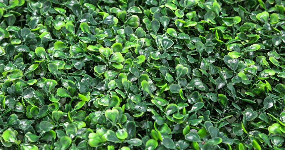 50cm x 50 cm Faux Boxwood Plants Green Artificial Privacy Hedge Green Panel Grass Wall Backdrop For Garden Outdoor Decoration