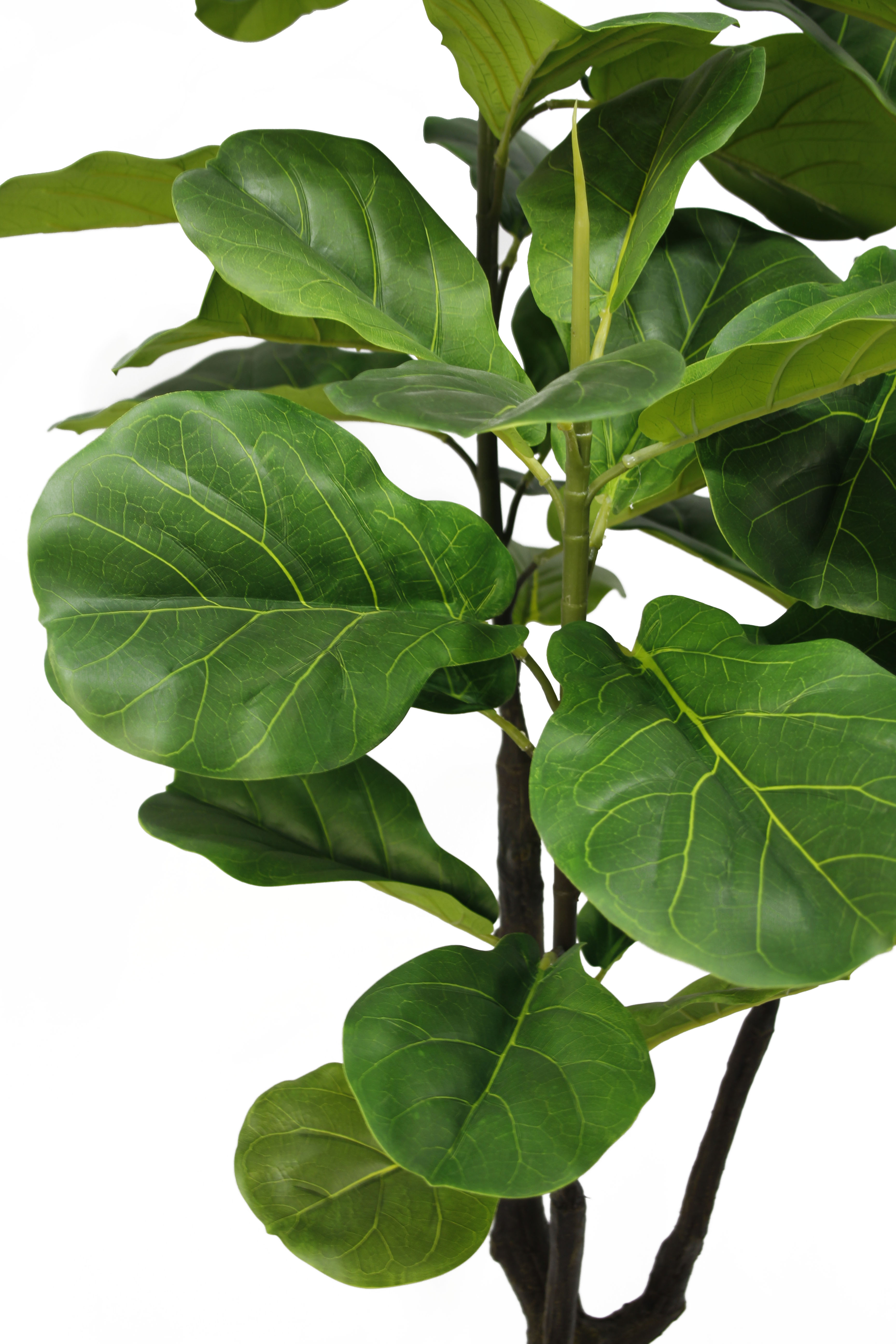 Senmasine Custom Fake Fiddle Fig Leaf Potted Plants Artificial Ficus Tree For Outdoor Indoor Home Garden Decor Faux Banyan