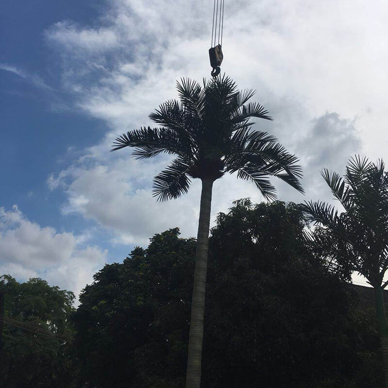 Sen Masine 10m Fake Large Plants Customized Outdoor Landscape High Simulation Big Artificial Coconut Palm Trees Outdoor