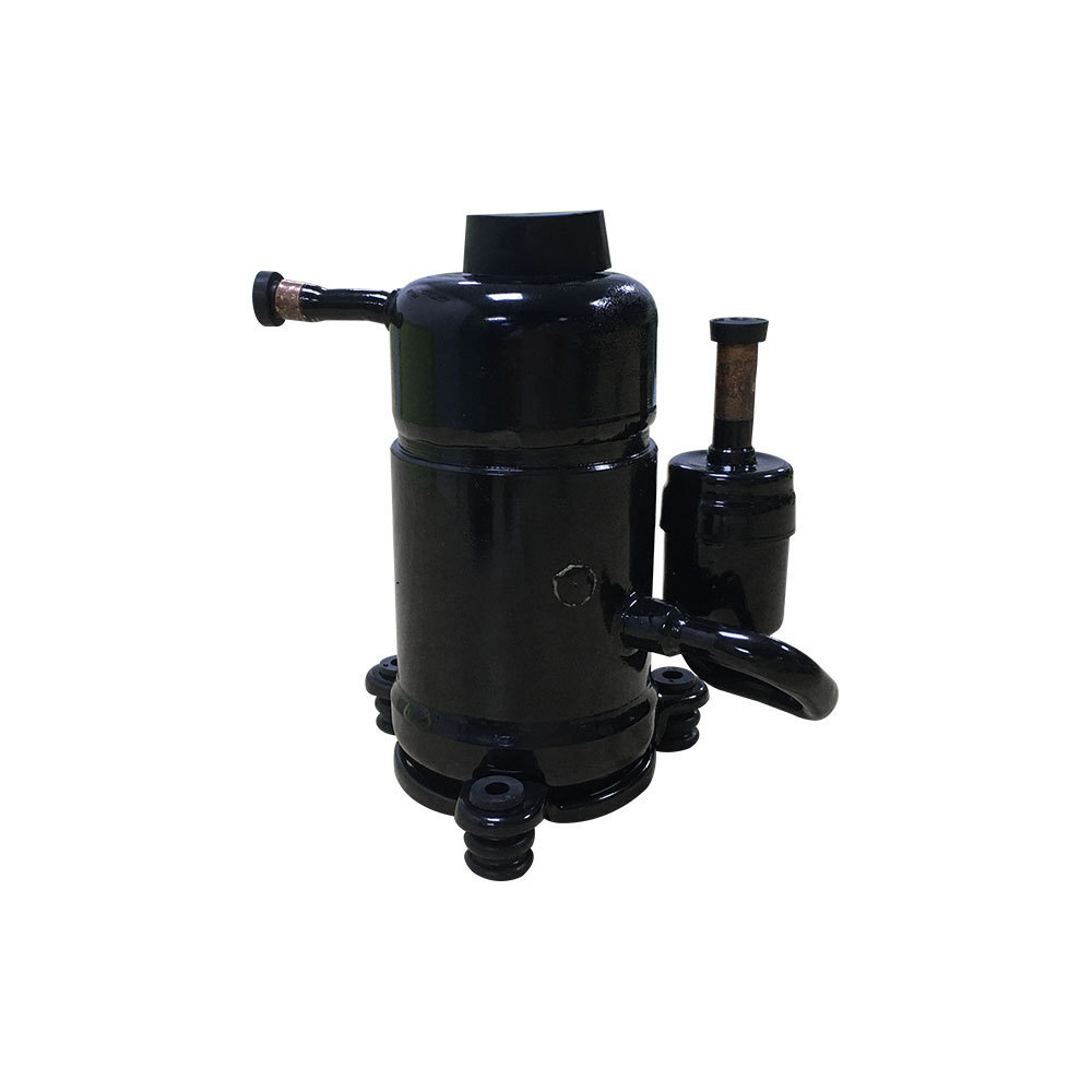 Custom Size R290 Refrigerant Smallest Water Cooler Compressor for Europe Market