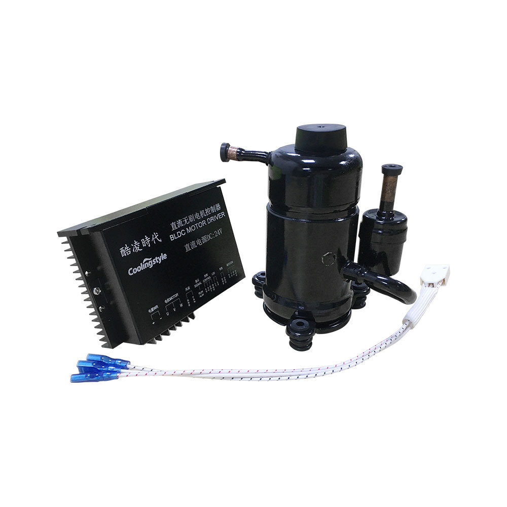 Custom Size R290 Refrigerant Smallest Water Cooler Compressor for Europe Market