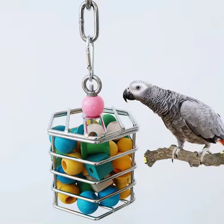 Customizable Stainless Steel Foraging Toy Cage with Colored Wooden Chew Blocks for Parrots Direct Factory Fabrication Services