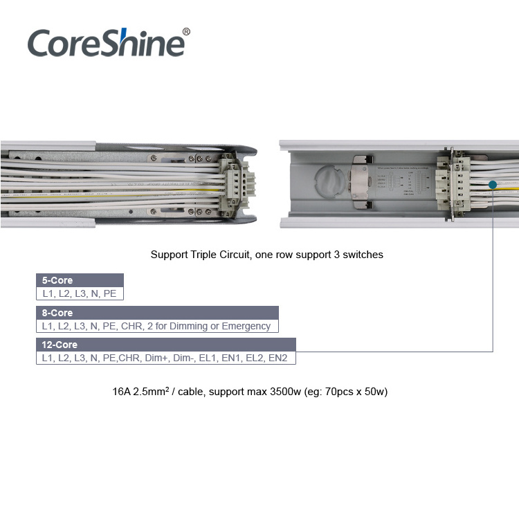 Coreshine Shenzhen LED Light Supplier of 160lm/w Linear Trunking System