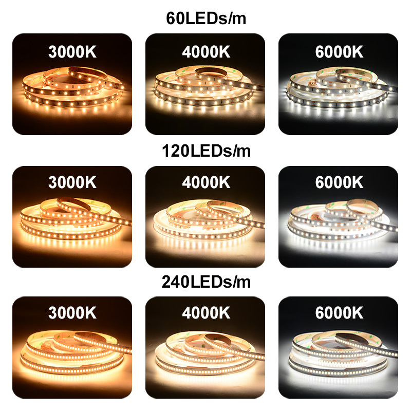 COXO 5 years warranty 2835 led strip light 12v 24v ce rohs 3000k 4000k 6000k 2835 led strip