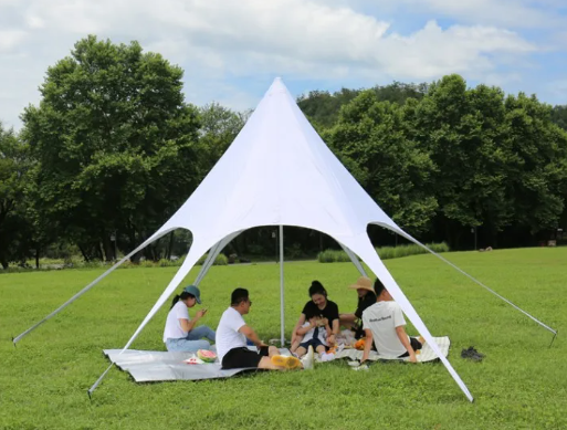 Low Price Tent One Peaked Big Party Outdoor Custom Printed Spider Tents Gazebo White Canopy