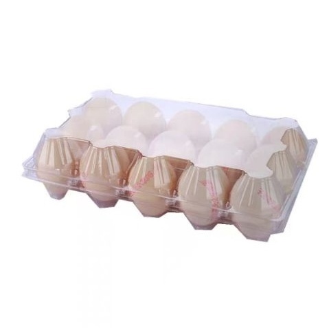 Spot goods 15 eggs packaging transparent box egg plastic tray for chicken egg