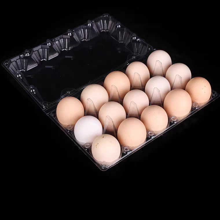 Spot goods 15 eggs packaging transparent box egg plastic tray for chicken egg