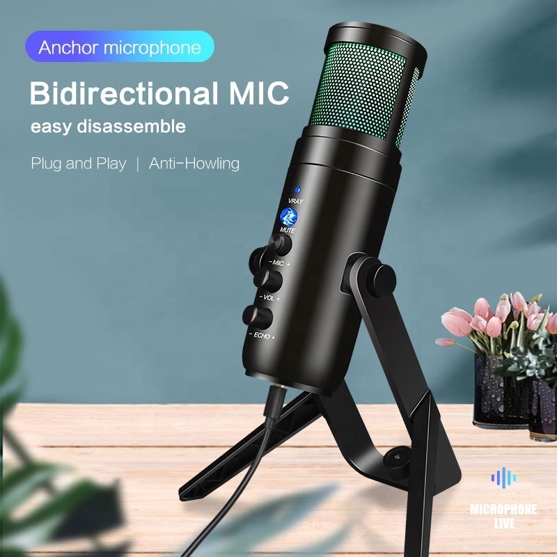 Dare Fly Custom USB Wireless Lavalier Microphone Professional Home Entertainment Gaming Microphone Music Production Equipment