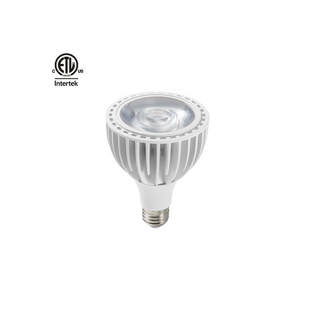 Daytonled Jade Agate series ETL cETL Jewelry 35W 40W par 30 led bulb