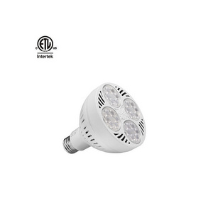 Daytonled Jade Agate series ETL cETL Jewelry 35W 40W par 30 led bulb