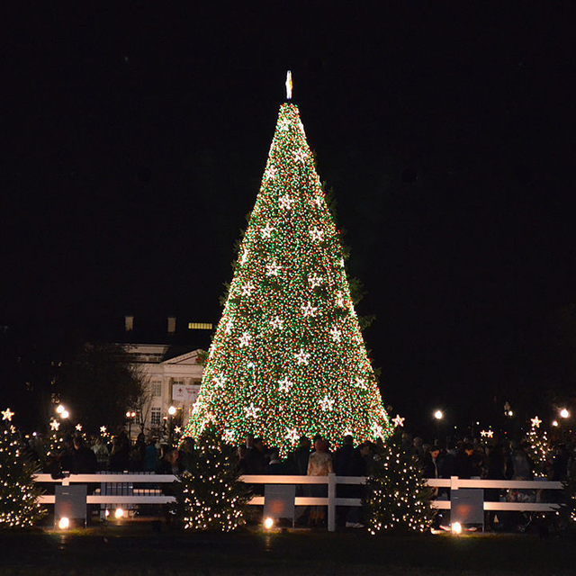 Navidad Outdoors Arbol De Navidad Comercial Negro Artificial