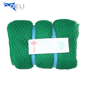 Custom/Wholesale  Agricultural Plastic Net Bird Chicken Net Mesh