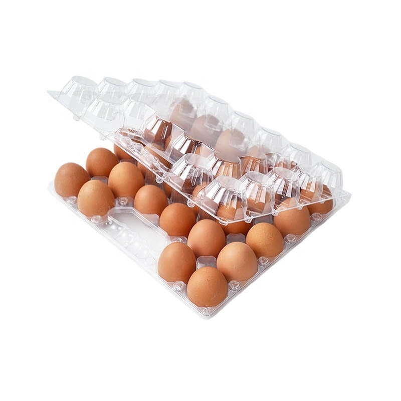 Good Quality 15 holes Disposable Clear PET Egg Trays for Packaging